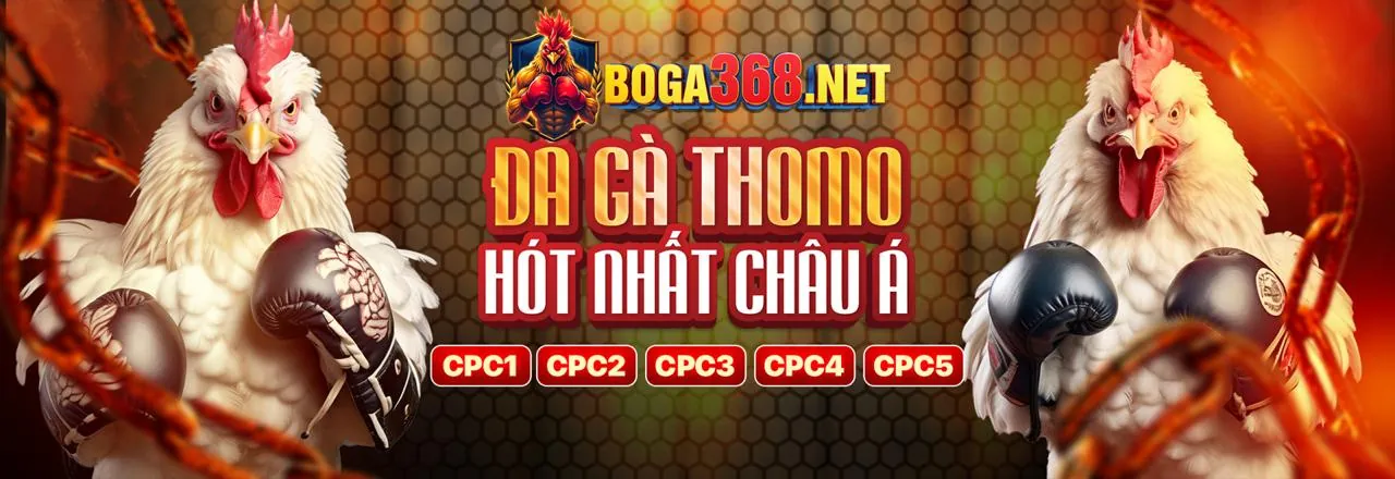 Đá Gà Trực Tuyến kuwin789 win