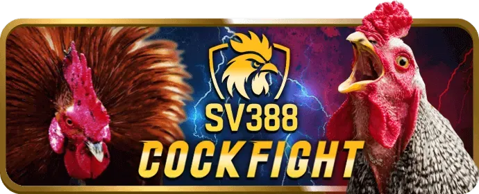 Ưu đãi và khuyến mãi tại kuwin789 win